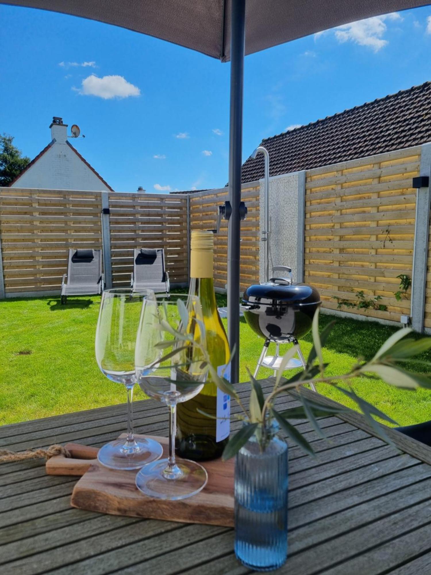 Vakantiewoning 266 デ パンネ エクステリア 写真